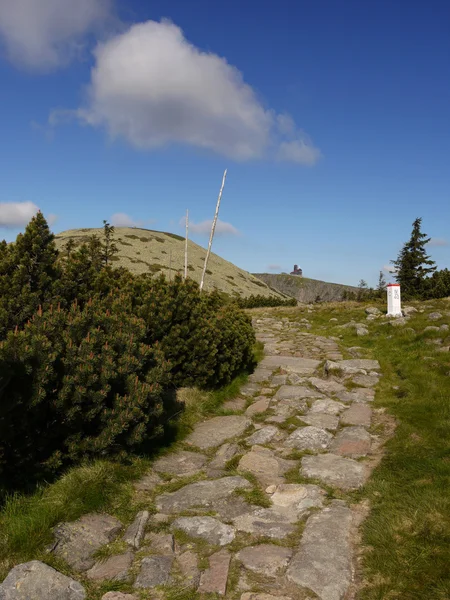 Berg gångstig. — Stockfoto