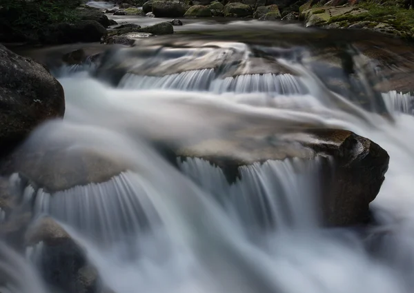 Rapids on the creek. — Stock Photo, Image