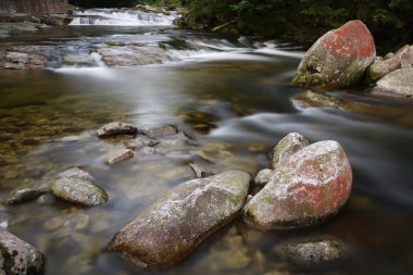 renk rapids