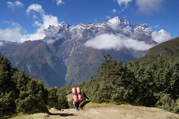 Himalayan carrier — Stock Photo, Image