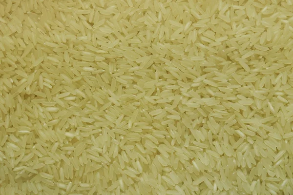 Arroz — Fotografia de Stock