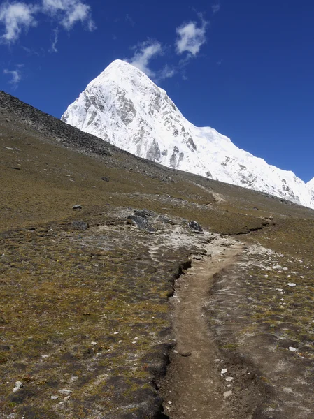 Himalayas — Stock Photo, Image