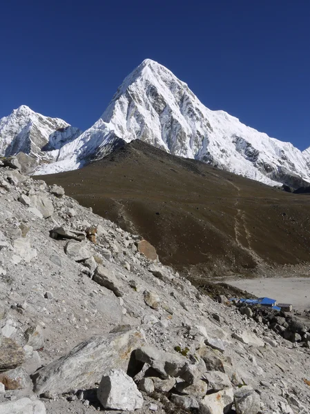 Himalaya 'er – stockfoto