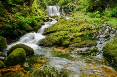 yosun ve ferns şelale