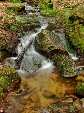 bir dağ dere üzerinde Rapids