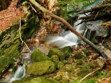 bir dağ dere üzerinde Rapids