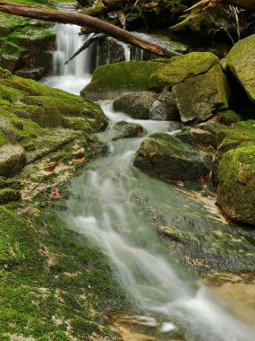 bir dağ dere üzerinde Rapids