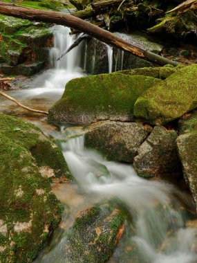bir dağ dere üzerinde Rapids