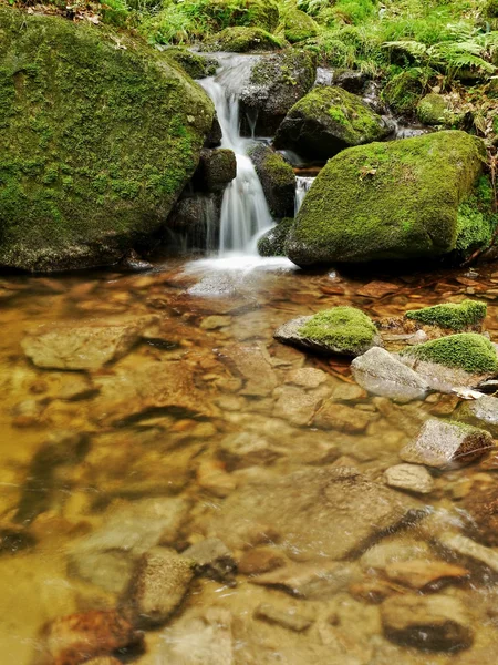 Stromschnellen auf einem Gebirgsbach — Stockfoto