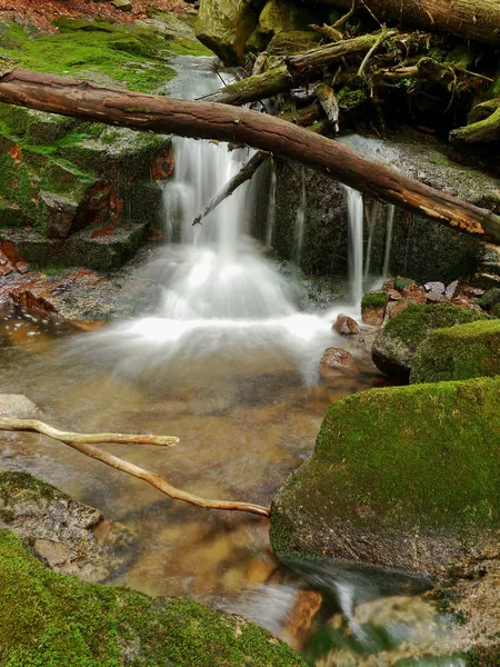 Rapids on a mountain stream — Stock Photo, Image