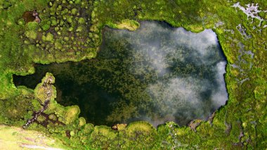 Çayırdaki göl yukarıdan soyut resim görünümü.