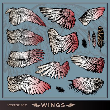 Vector set of wings clipart