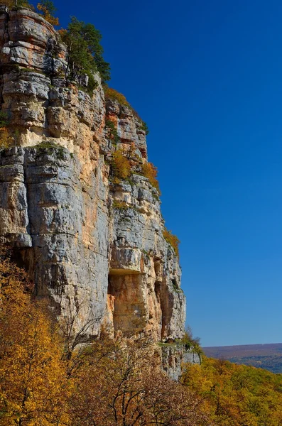 Příroda — Stock fotografie