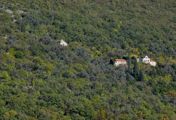 Ένα — Φωτογραφία Αρχείου