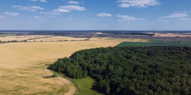 Bir tarlanın yanındaki yeşil yaprak döken orman. Kuş bakışı manzaralı bir yer. Güneşli hava.
