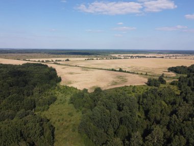 Bir tarlanın yanındaki yeşil yaprak döken orman. Kuş bakışı manzaralı bir yer. Güneşli hava.