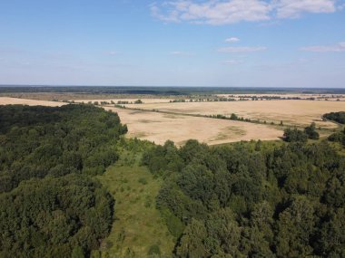 Bir tarlanın yanındaki yeşil yaprak döken orman. Kuş bakışı manzaralı bir yer. Güneşli hava.