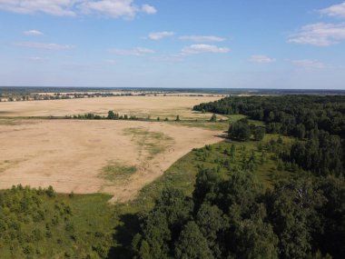 Bir tarlanın yanındaki yeşil yaprak döken orman. Kuş bakışı manzaralı bir yer. Güneşli hava.