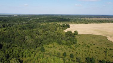 Bir tarlanın yanındaki yeşil yaprak döken orman. Kuş bakışı manzaralı bir yer. Güneşli hava.