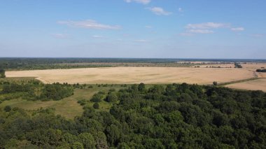 Bir tarlanın yanındaki yeşil yaprak döken orman. Kuş bakışı manzaralı bir yer. Güneşli hava.