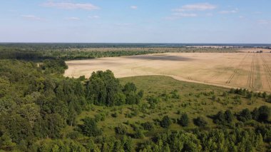 Bir tarlanın yanındaki yeşil yaprak döken orman. Kuş bakışı manzaralı bir yer. Güneşli hava.