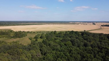 Bir tarlanın yanındaki yeşil yaprak döken orman. Kuş bakışı manzaralı bir yer. Güneşli hava.