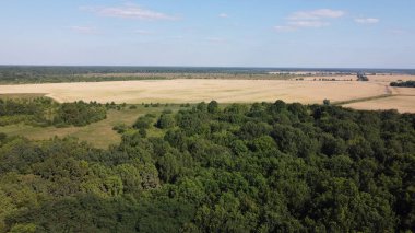 Bir tarlanın yanındaki yeşil yaprak döken orman. Kuş bakışı manzaralı bir yer. Güneşli hava.