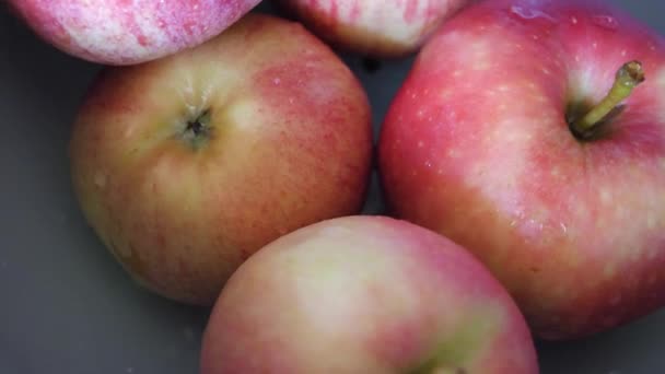 Water Drops Apples Ligol Gala Varieties Rotation Close — Stock Video