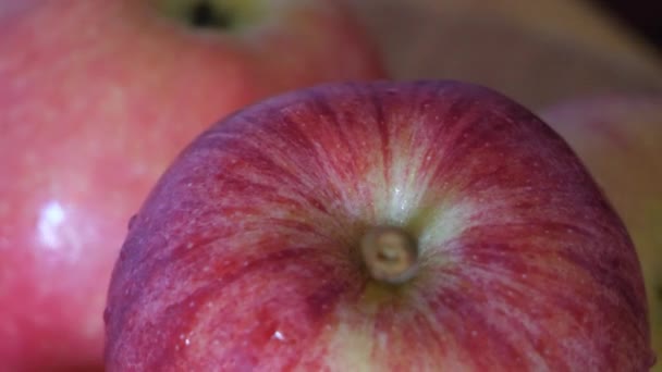 Galarött Äpple Närbild Video Roterande Frukter — Stockvideo