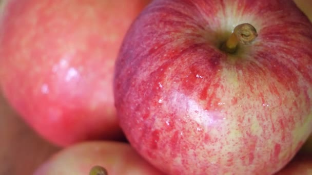 Flera Äpplen Galasorten Närbild Video Droppar Vatten Äppelskalet — Stockvideo