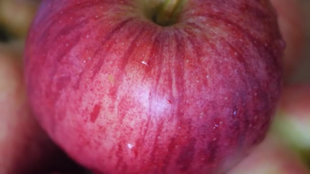 Gestreifte Gala Sorte Apfel Nahaufnahme Video Wasser Spritzt Auf Den — Stockvideo