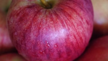 Çizgili gala elması, yakın çekim video. Elmaya su sıçrıyor..