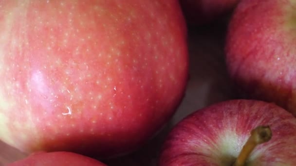 Varias Manzanas Rojas Las Variedades Ligol Gala Video Primer Plano — Vídeos de Stock