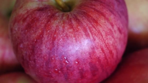 Striped Gala Variety Apple Close Video Water Splashes Apple — Stock Video