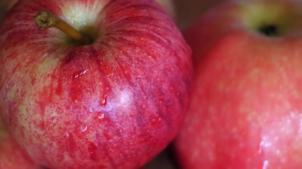 Several Apples Gala Variety Close Video Drops Water Apple Peel — Stock Video