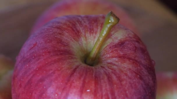 Galarött Äpple Närbild Video Roterande Frukter — Stockvideo