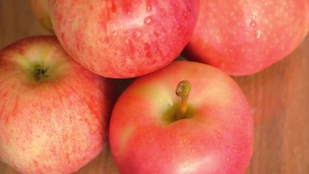 Manzanas Variedades Gala Ligol Video Primer Plano Las Frutas Giran — Vídeo de stock