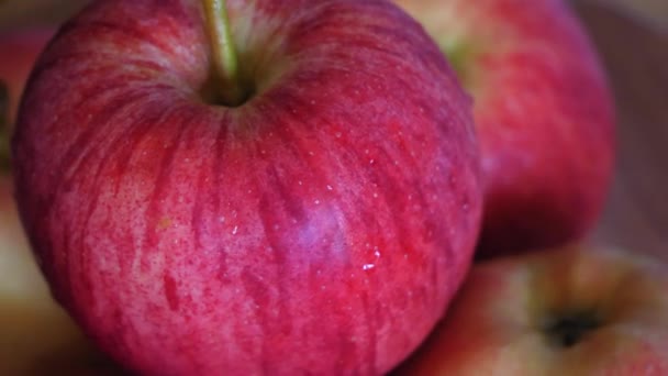 Mehrere Äpfel Der Galasorte Nahaufnahme Wassertropfen Auf Der Apfelschale — Stockvideo