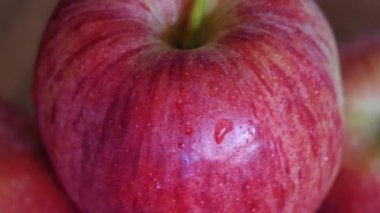 Çizgili gala elması, yakın çekim video. Elmaya su sıçrıyor..