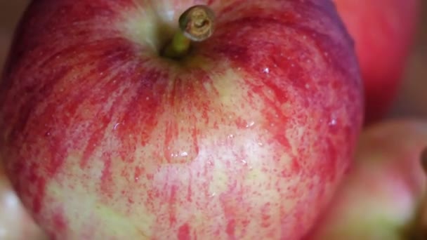 Randig Galamängd Äpple Närbild Video Vattenstänk Äpplet — Stockvideo