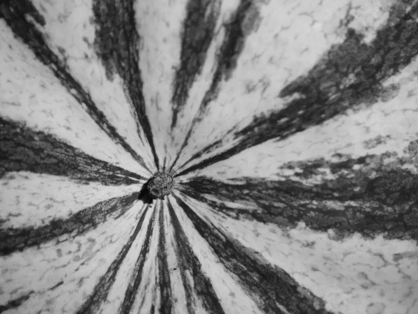 Texturen Vattenmelonskal Närbild Vattenmelonskal Som Bakgrund — Stockfoto