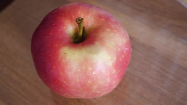 Jedno Růžové Jablko Ligol Video Detailní Záběr Ovoce — Stock video