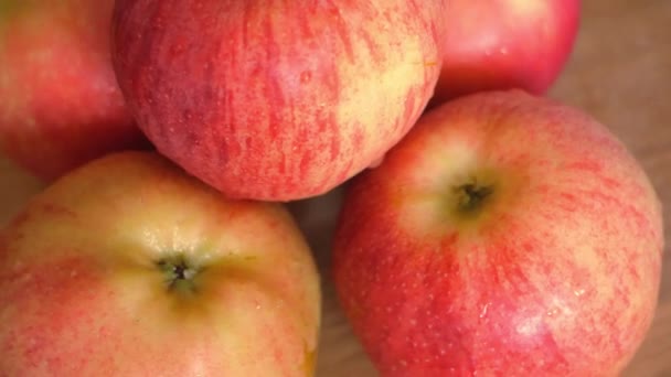 Manzanas Variedades Gala Ligol Video Primer Plano Las Frutas Giran — Vídeos de Stock