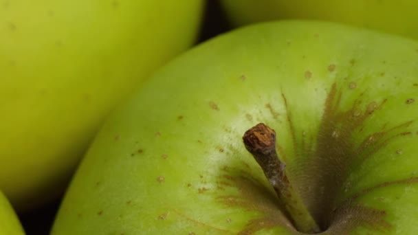 Manzana Con Piel Verde Primer Plano Manzana Variedad Reinette Simirenko — Vídeos de Stock