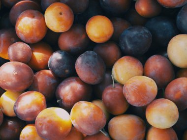 Olgun ev yapımı kiraz eriğinin meyveleri..