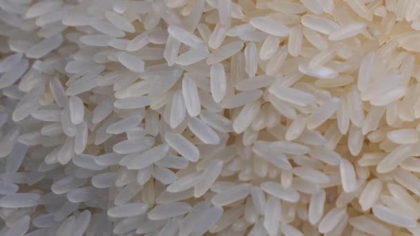 Weiße Reiskörner Makrovideo Reis Vollformat — Stockvideo