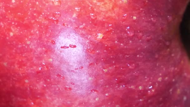 Primer Plano Una Cáscara Manzana Rosa — Vídeos de Stock