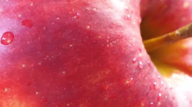 Kırmızı elmanın kabuğunda bir damla su, yakın plan..