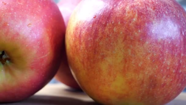 Tres Manzanas Rojas Cerca Gala Cultivar Manzana Propagación Clonal Con — Vídeos de Stock