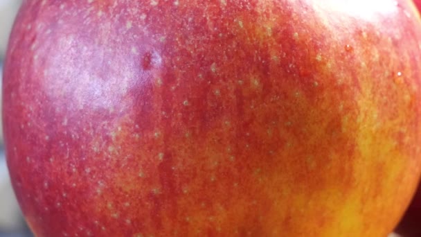 一个苹果皮的详细图像 红苹果收尾 — 图库视频影像